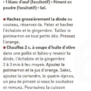 Samossas dinde potimarron gingembre