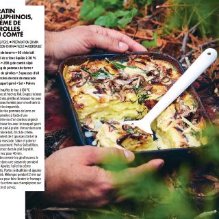 gratin dauphinois girolles comte