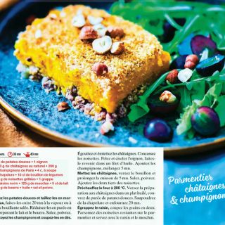parmentier chataigne champignon