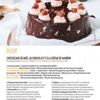 cheese cake chocolat marron