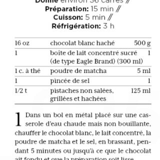 fudge matcha pistache