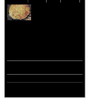 tarte au sucre du Nord