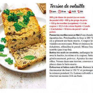 Terrine de volaille