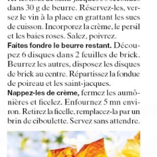 aumonière saint jacques