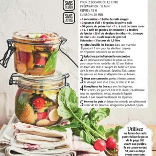 pickles radis concombre