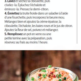 rilettes truite baies roses